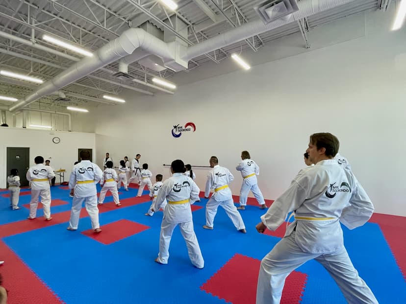 January Belt Testing - Session 3